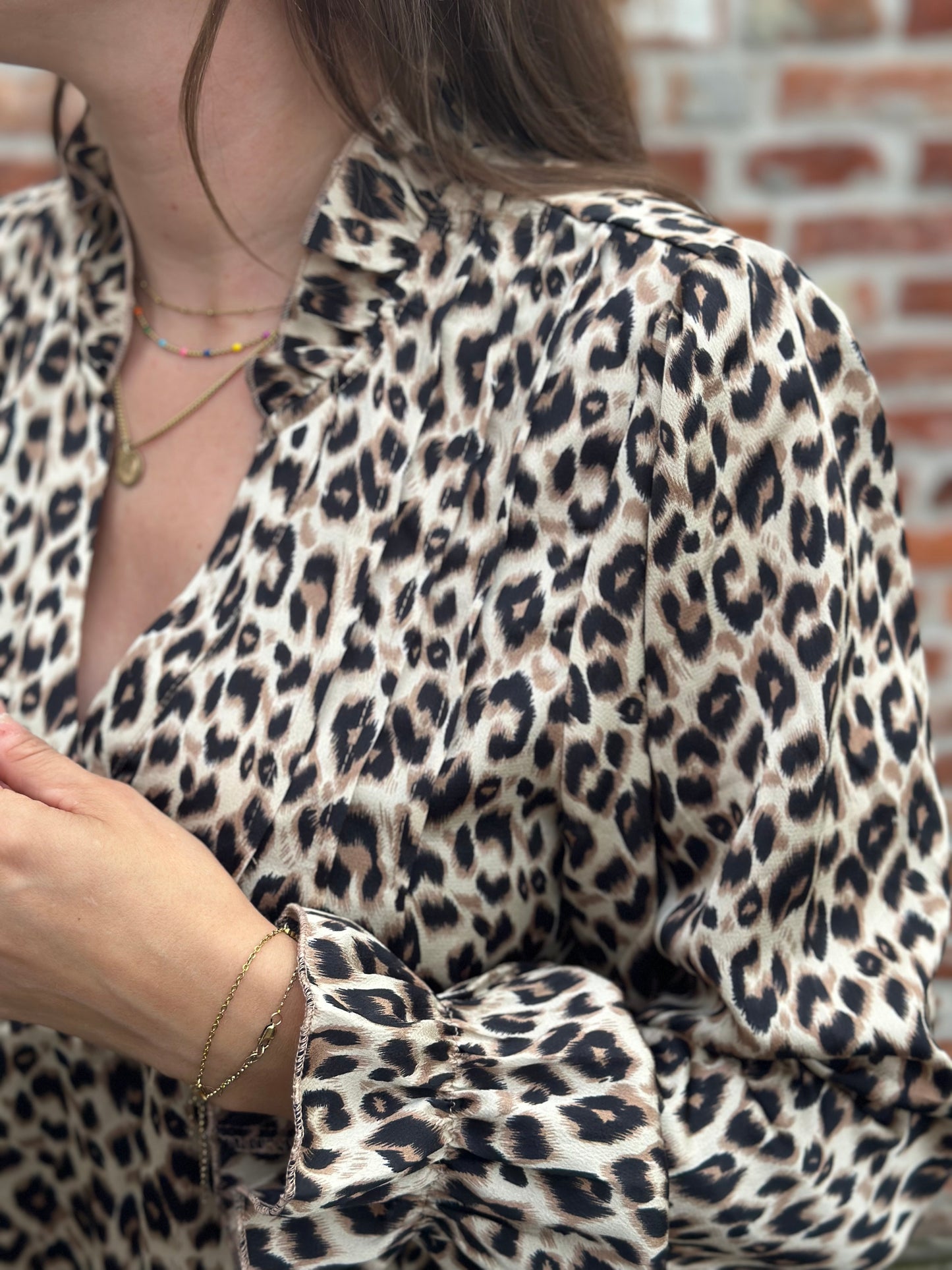 Leopard blouse